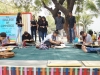 Art Carnival 2015-2016